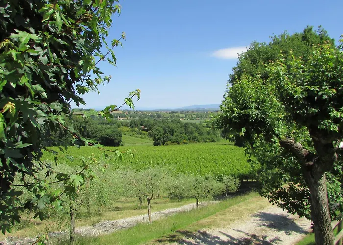 Poggio Olivo