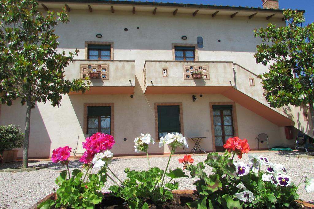 Poggio Olivo Acquaviva (Montepulciano)