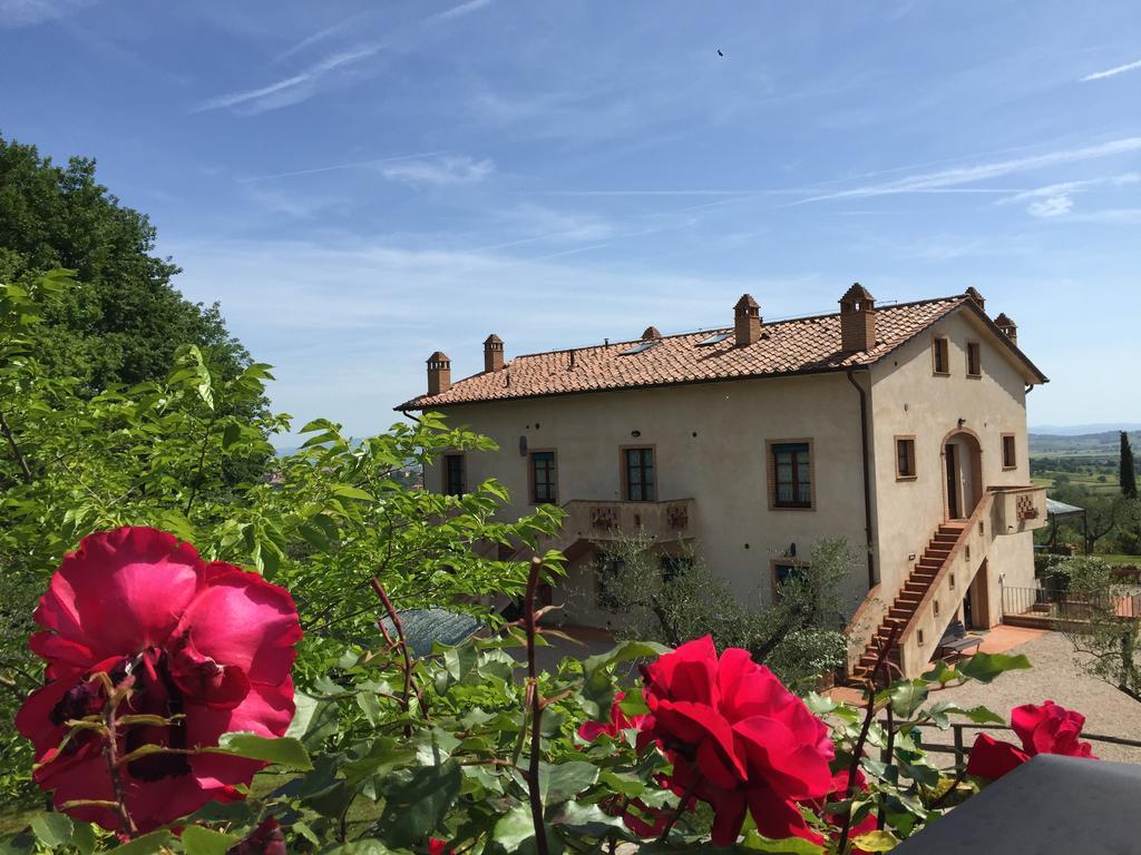 Poggio Olivo Acquaviva (Montepulciano)