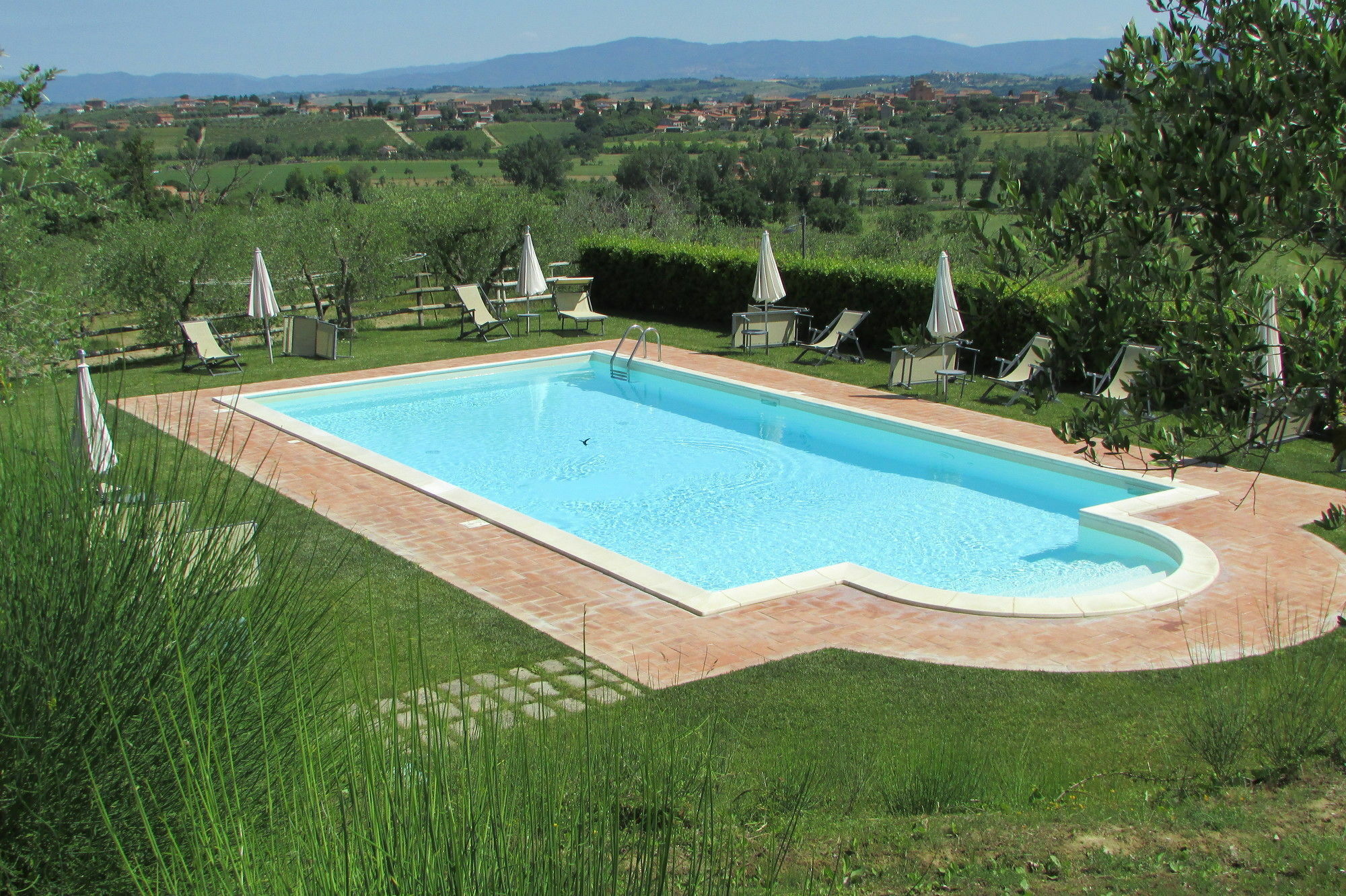 Poggio Olivo